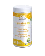 Tyrosine 500