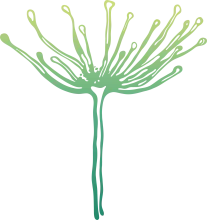 Logo Angelica Sana