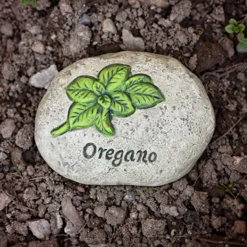 Oregano en nagelpsoriasis