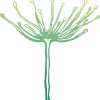 Logo Angelica Sana